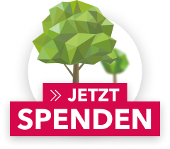 Spenden Icon